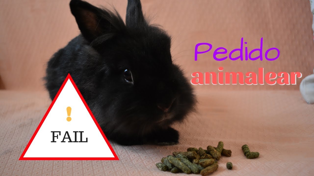 Pedido FAIL animalear - no triunfa la cosa... |Mundoconejil