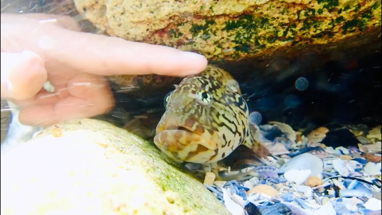 Come With ME and you will SEA