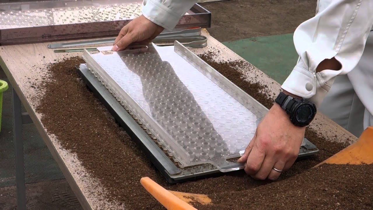 How to use 5 kinds of set for seeding