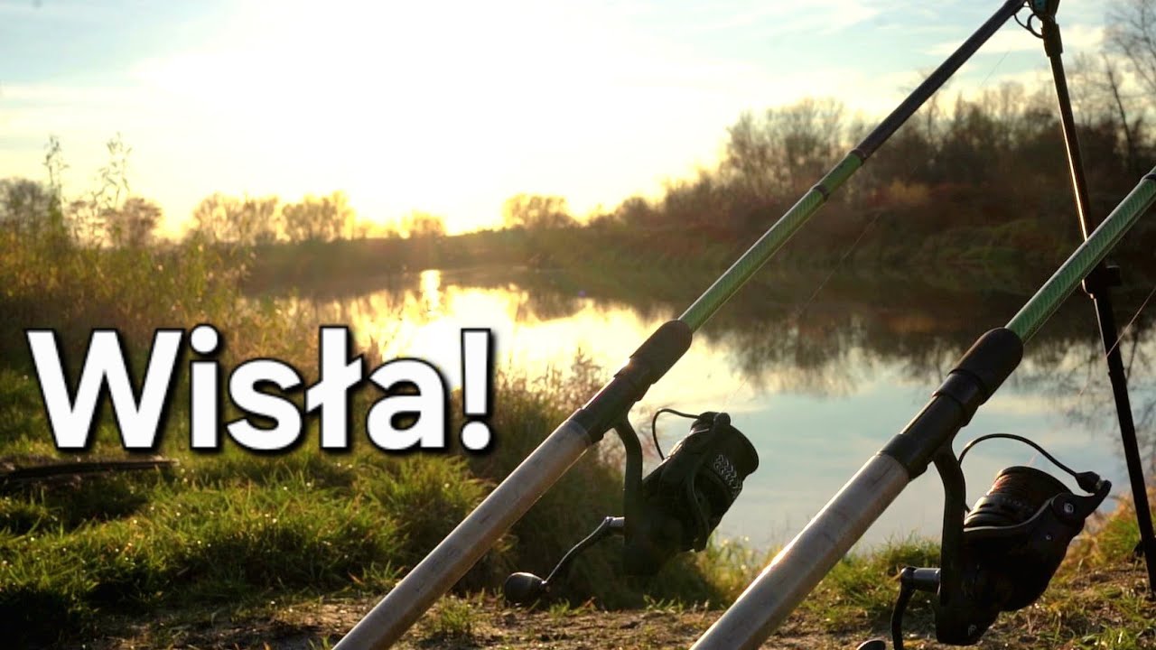 Wisła Niespodzianek! Długa przerwa się Opłaciła Powrót na Rzeke! Wędkarstwo Klasyczny Rzeczny Feeder