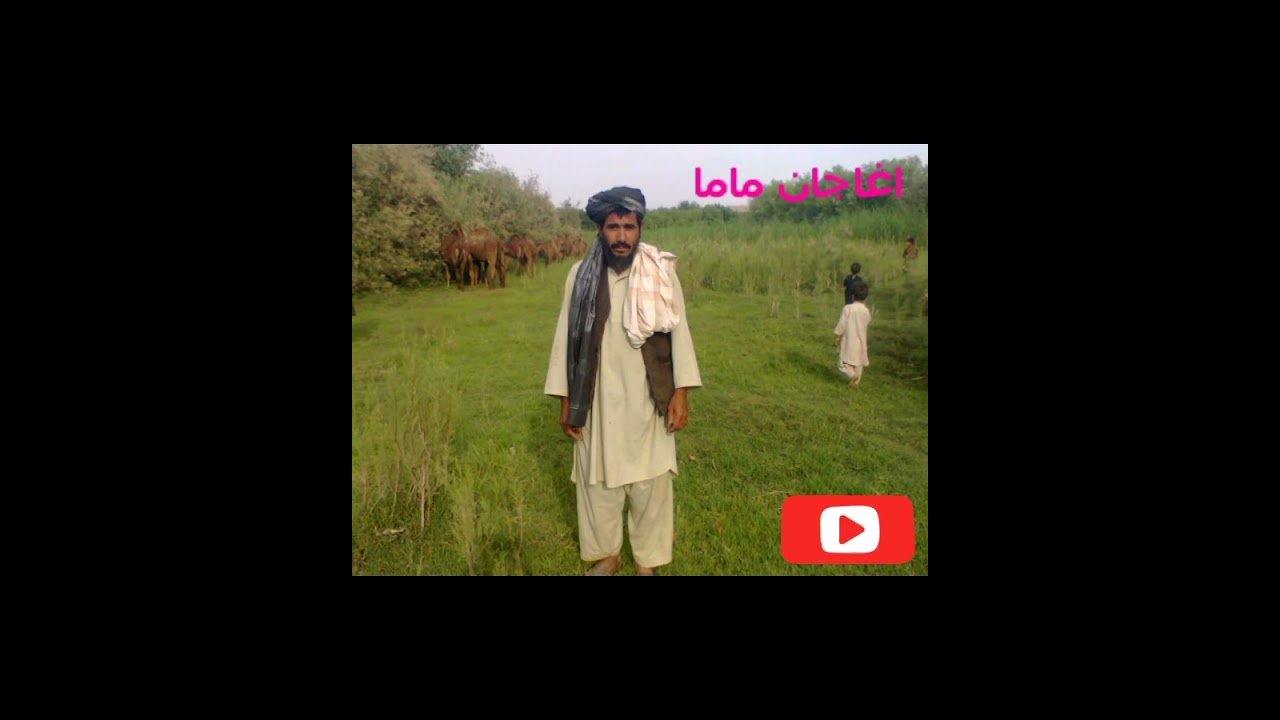 دہ غلو نکل دہ آغاجان ماما پہ آواز کی