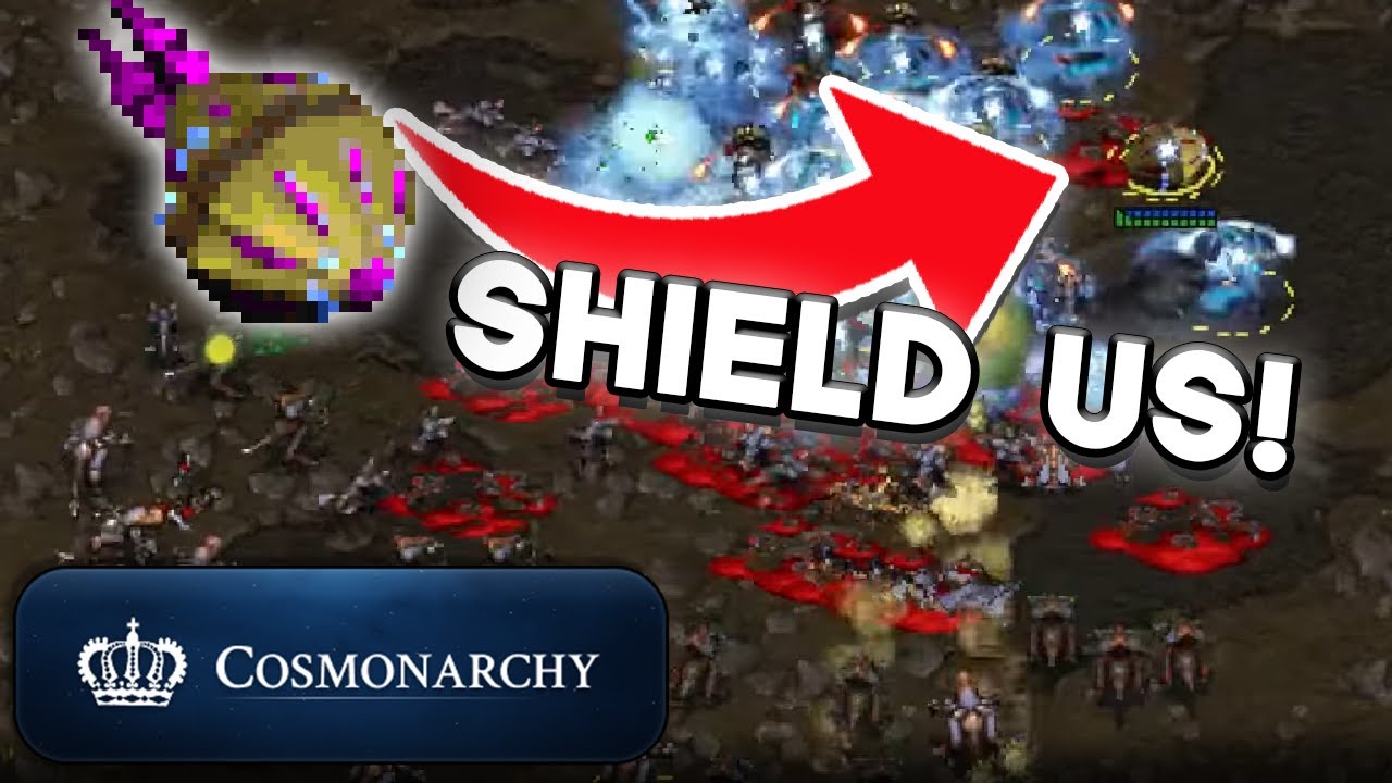 Our tourneys are the BEST! Protoss vs Zerg action