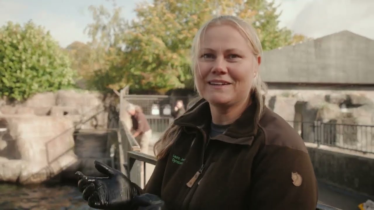 Søløvetræning er ikke for sjov | Vlog Sæson 3 Episode 2 | Aalborg Zoo