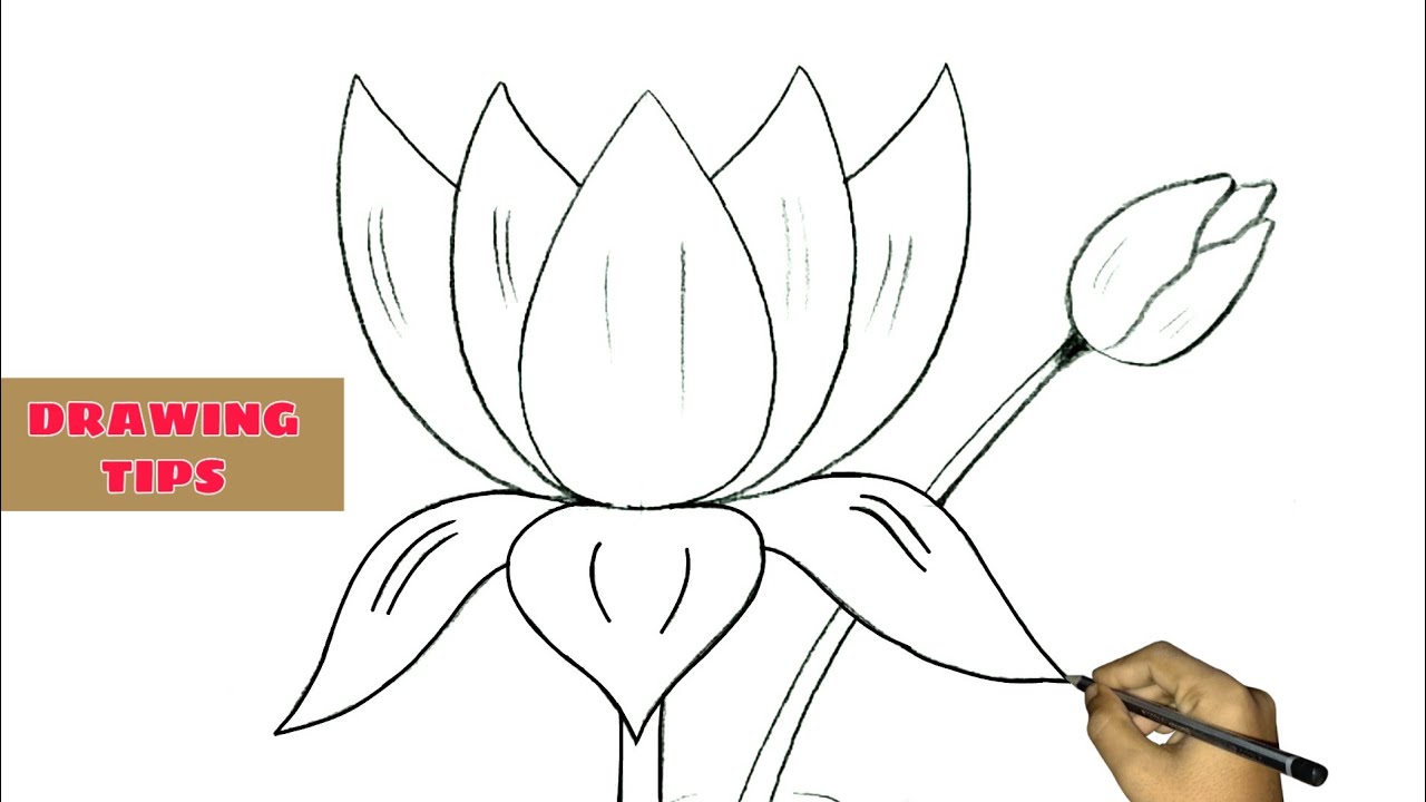 Kamal ka phool kaise banaen / Aam admi drawing karneka tarika | FAM Pro