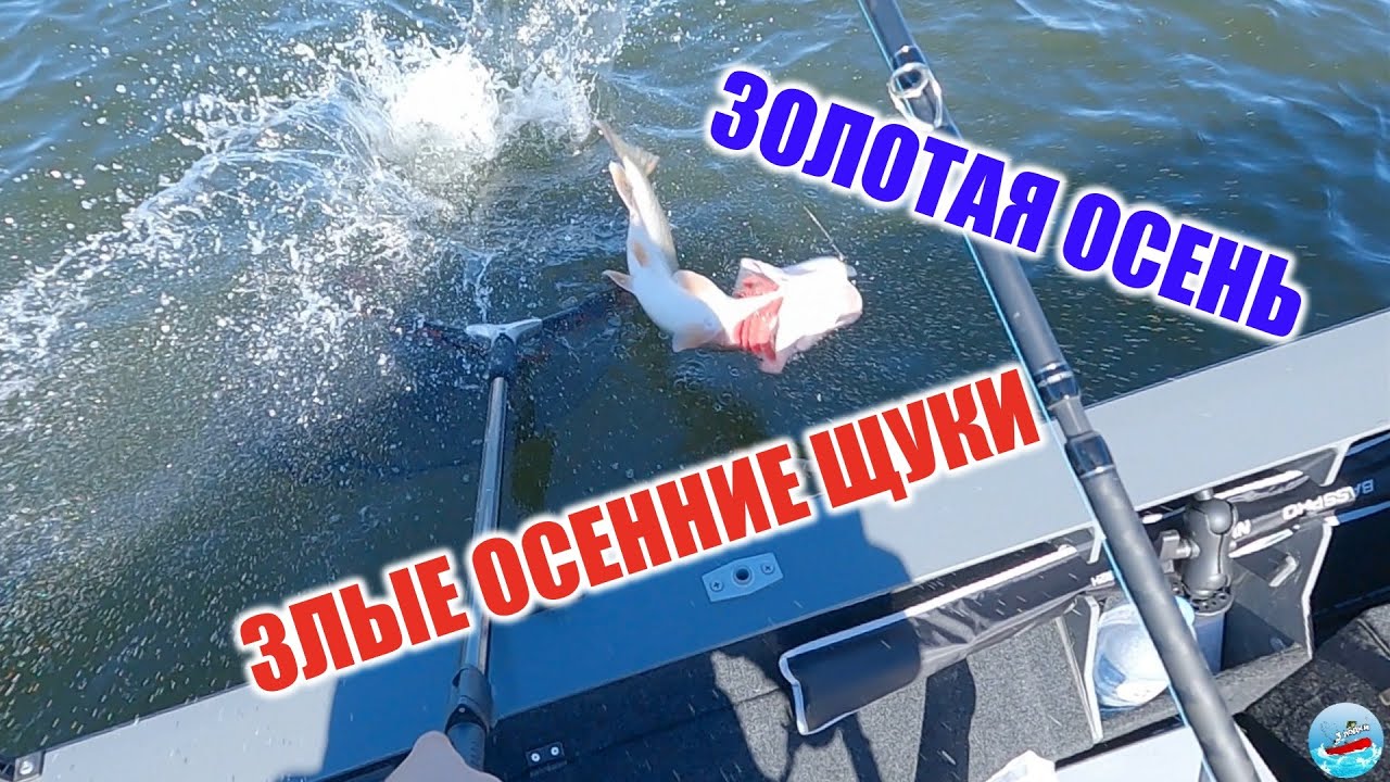 Злые щуки! Осенняя рыбалка на реке Ока