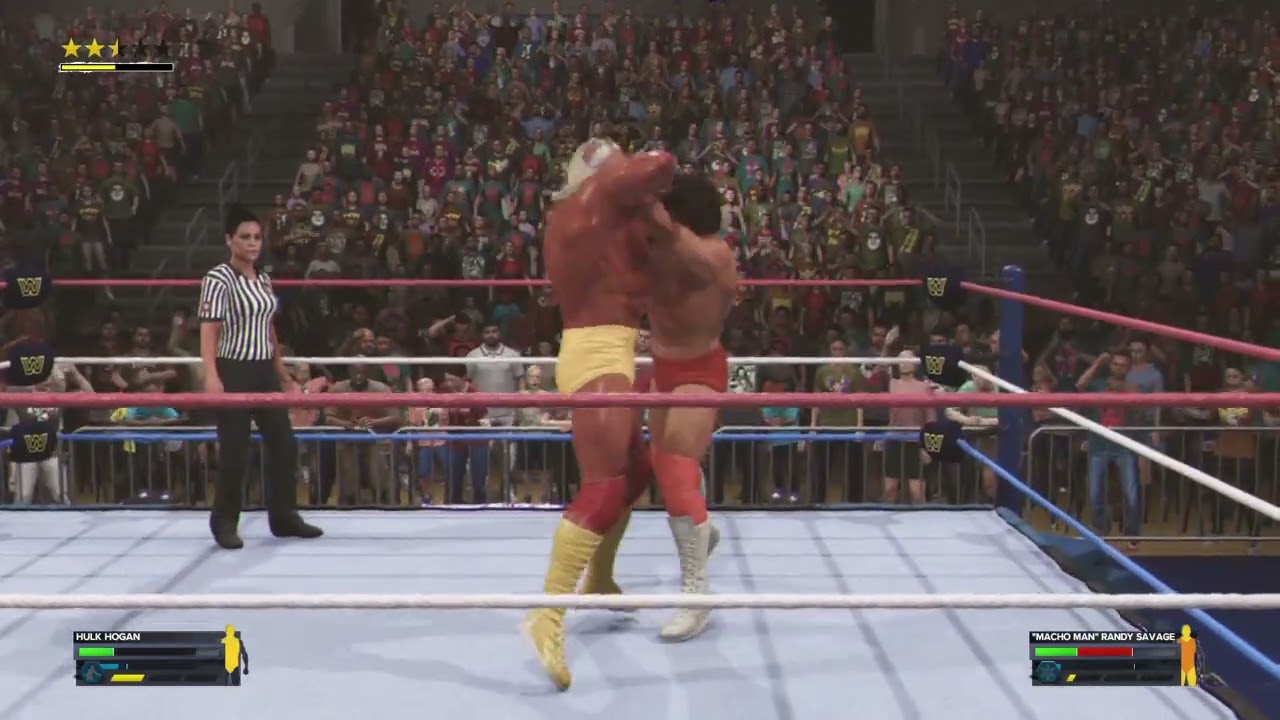Hulk Hogan vs randy savage