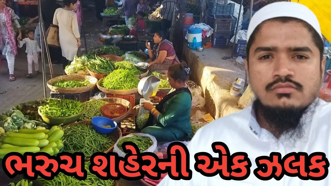 મારું શહેર ભરુચ | એક સુંદર સફર | Gujarati Vlog | Patel Vlogs | Bharuch Vlog