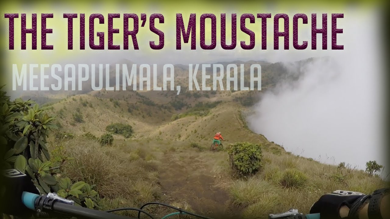 Meesapulimala | Best MTB trail in India | Western Ghats | മീശപ്പുലിമല
