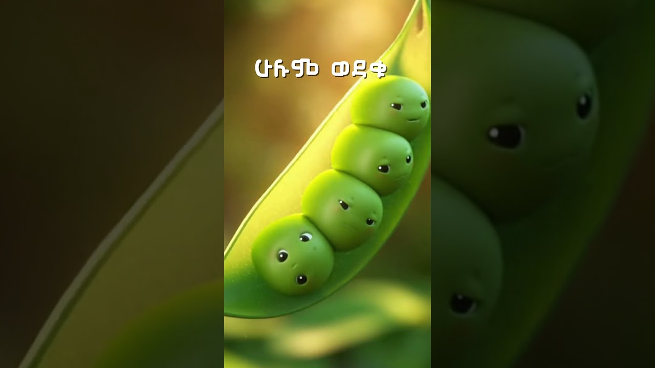 አራት ትንንሽ ባቄላዎች 