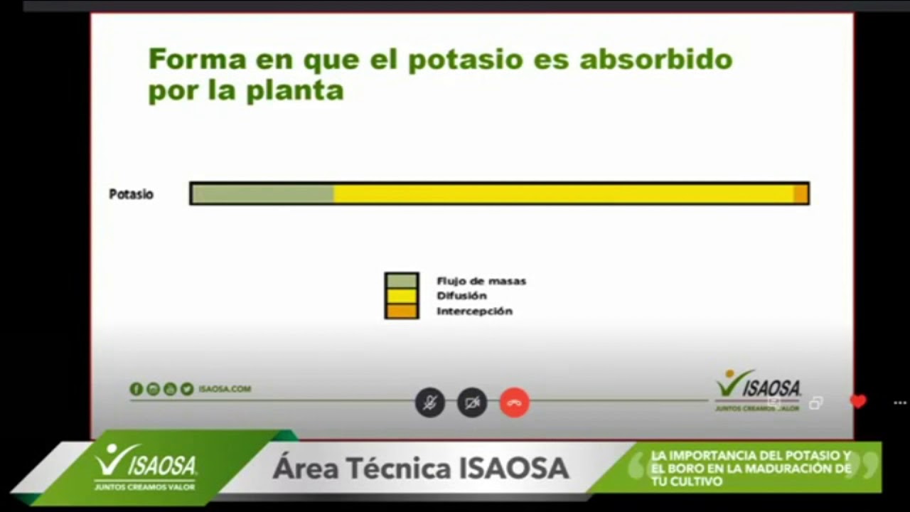 LA IMPORTANCIA DEL POTASIO Y BORO EN LA MADURACIÓN DE CULTIVOS