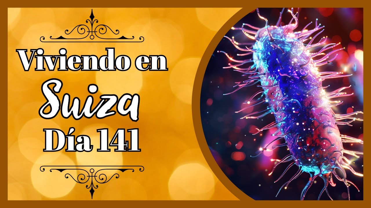 Viviendo en Suiza - Día 141, el de ser una bacteria o no, esa es la cuestión.