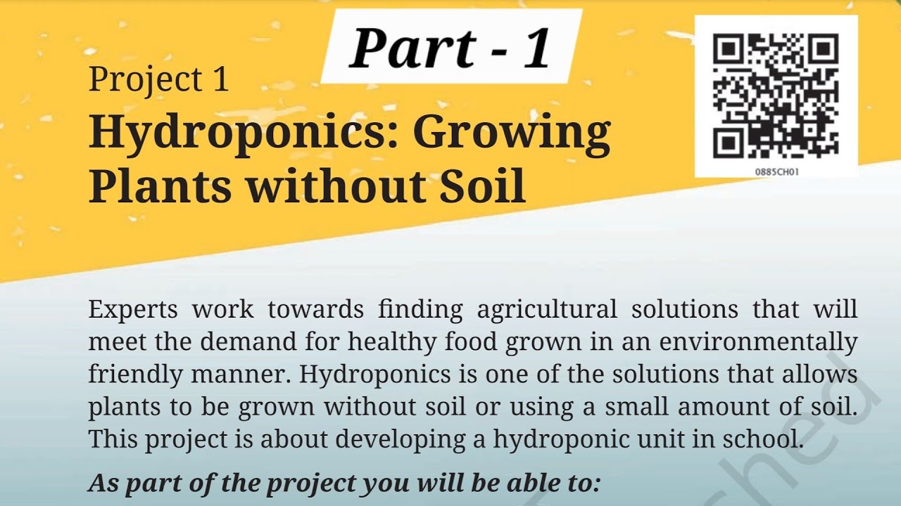 Project 1Hydroponics: Growing Plants without Soil 