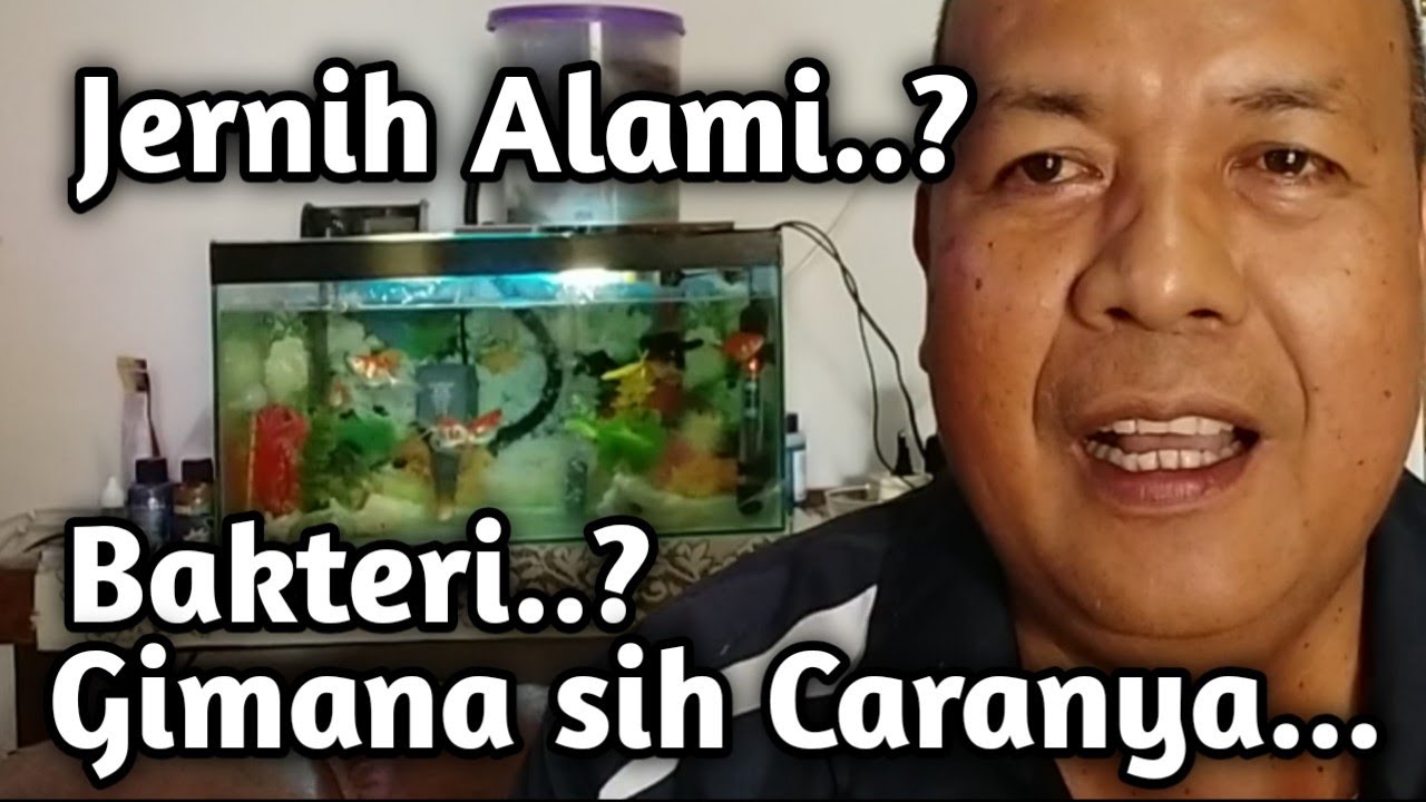 Cara Menjernihkan Air Aquarium Secara Alami_Bakteri Baik