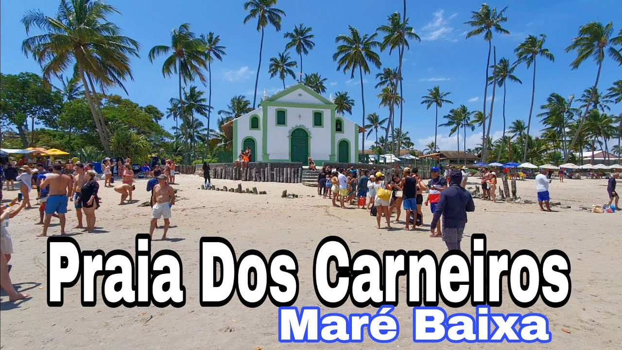 Praia Dos Carneiros Maré Baixa Piscina Natural