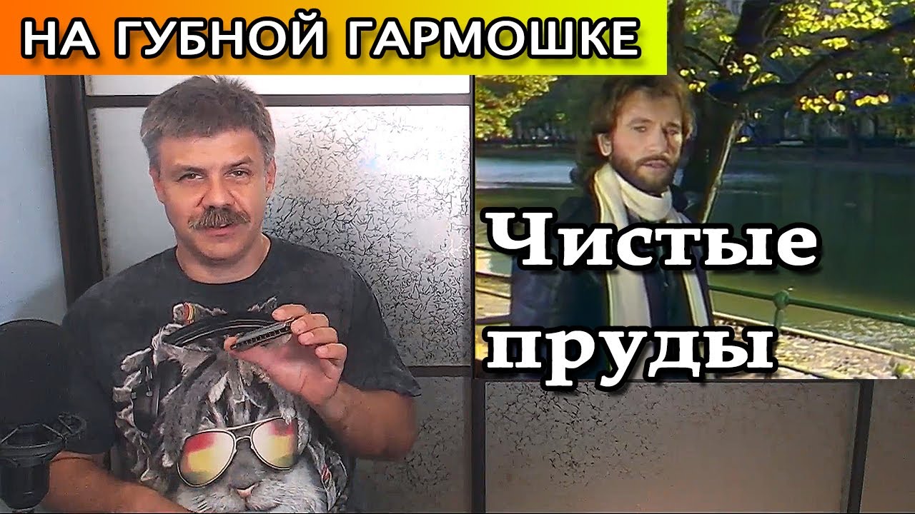 Чистые пруды на губной гармошке