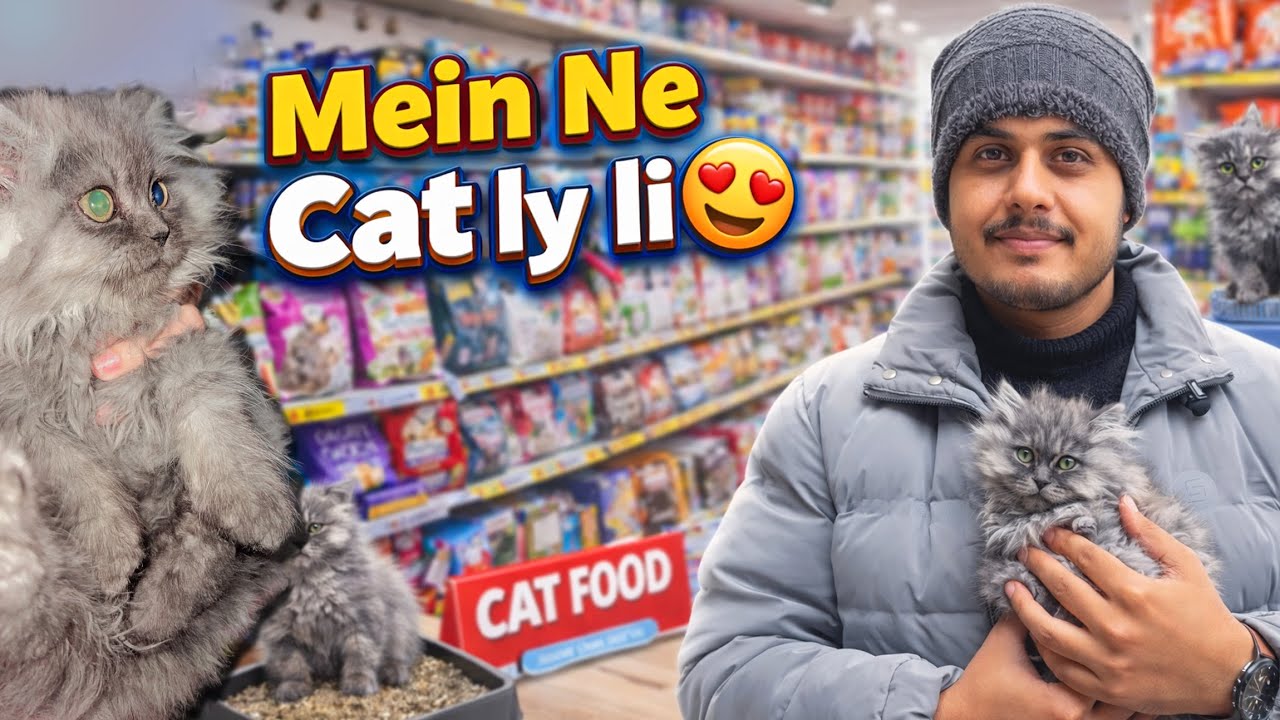 New Cute Kitten Vlog 😍🐈‍⬛