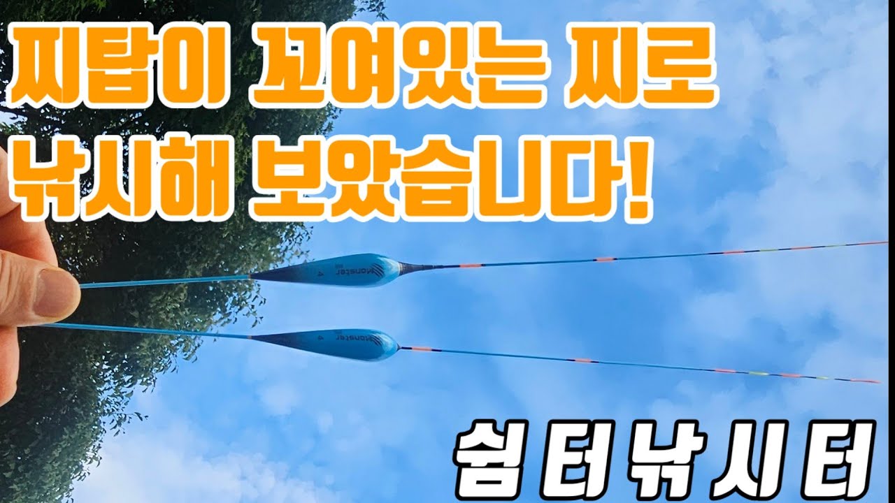 신제품 탑이 꼬여있는 찌로 낚시를 해보았습니다 #몬스터 회오리 #몬스터 스카이블랙 #쉼터낚시터