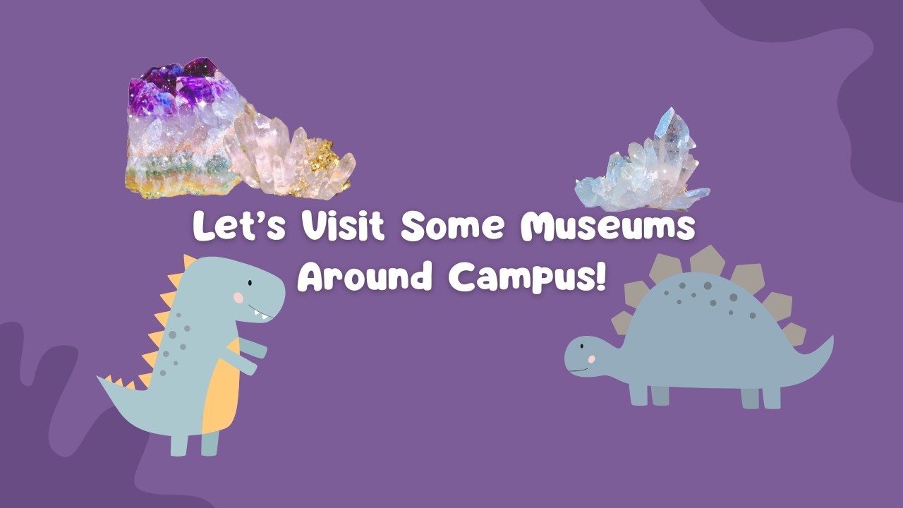 Let's Visit Some Museums!