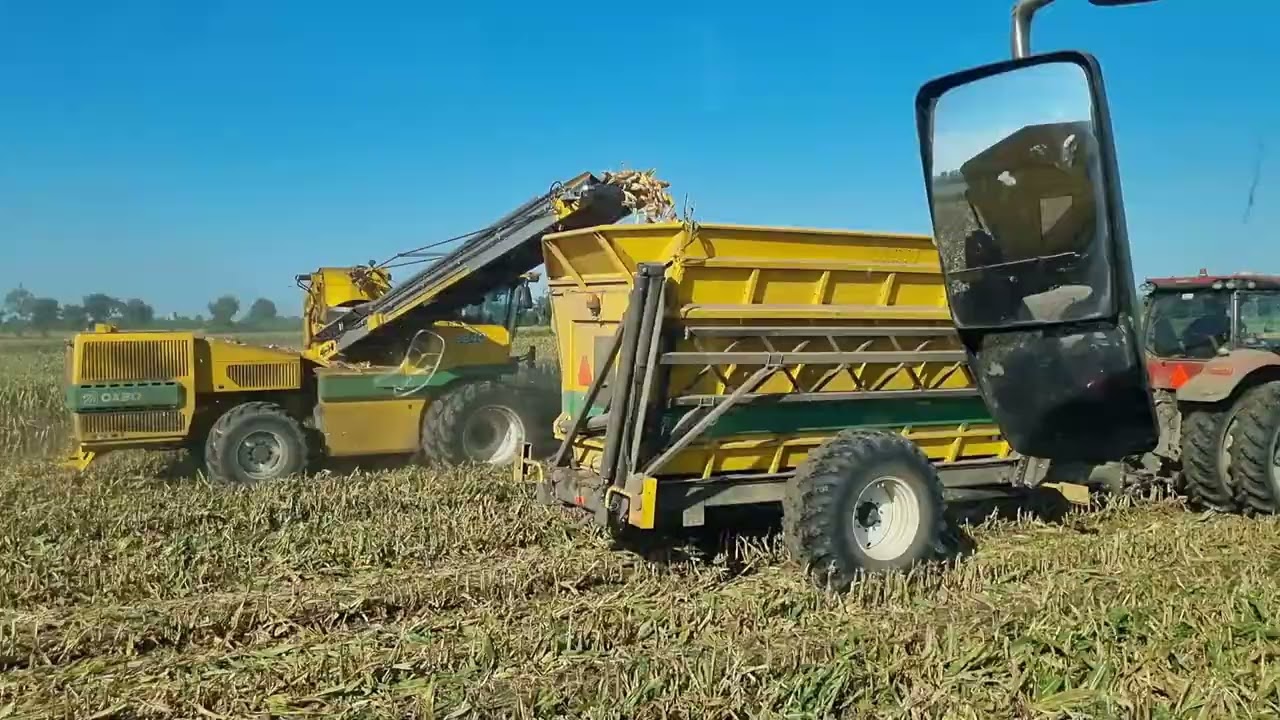 Farming Seed Corn in Michigan 2023