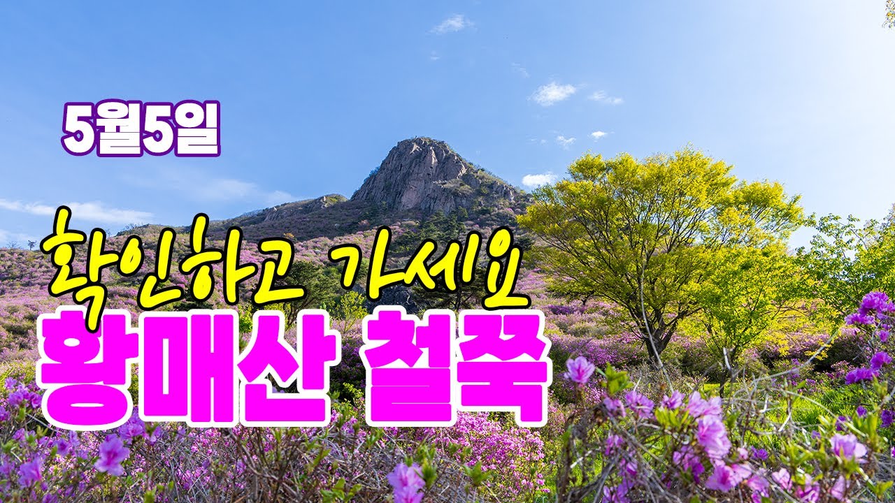 철쭉 명산 황매산 5월5일 상황은?  가실분은 참고하세요^^#황매산  #황매산 철쭉