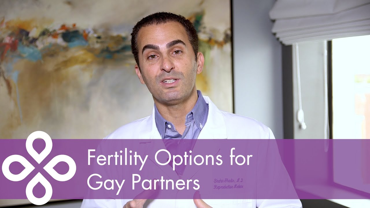 Fertility Options for Gay Partners