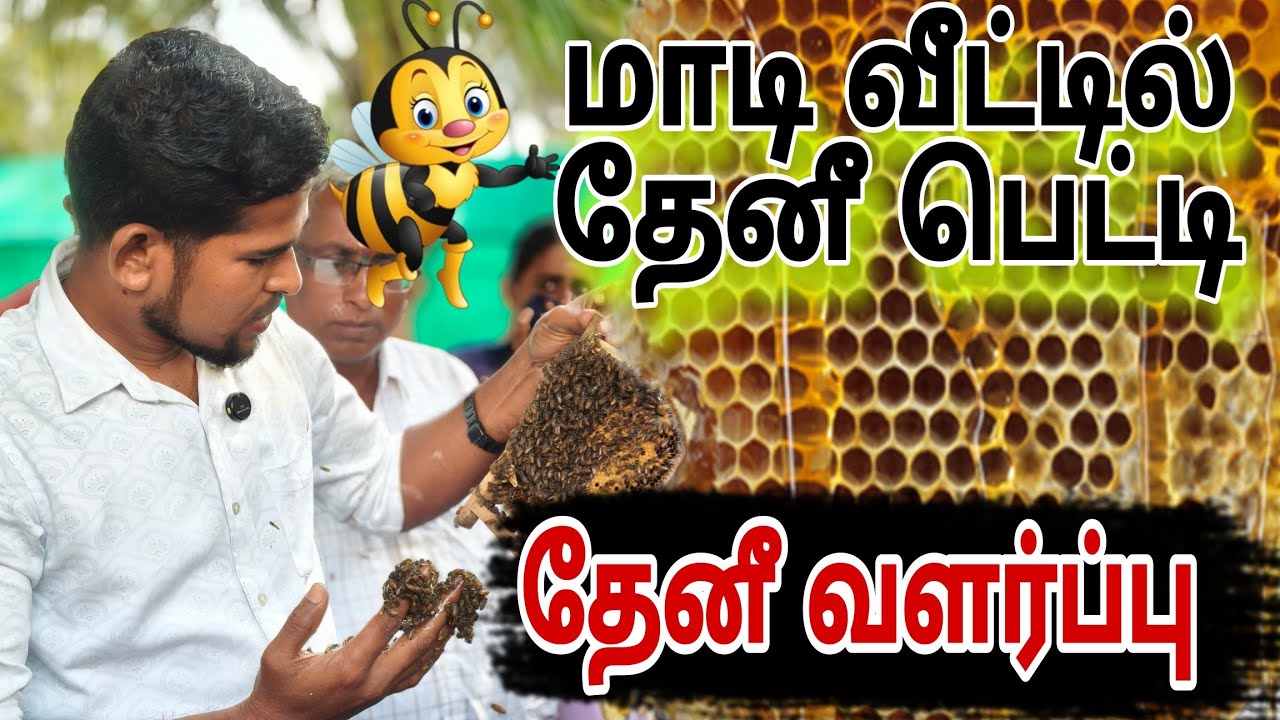 வீட்டிலும் வளர்க்கலாம் தேனீகள் 