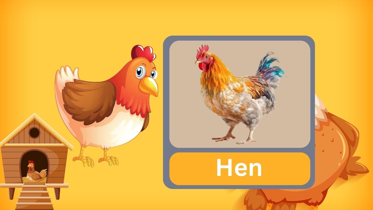 H for Hen  | Phonics Song with One Word | Kids song  | Alphabet song | Learning video