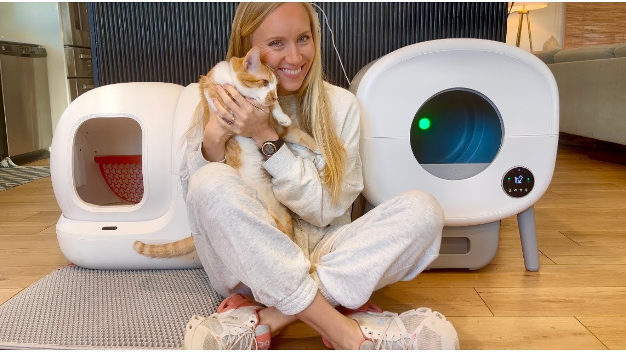 Which Litter Box is Worth Your Money? Cumrige VS PetKit!