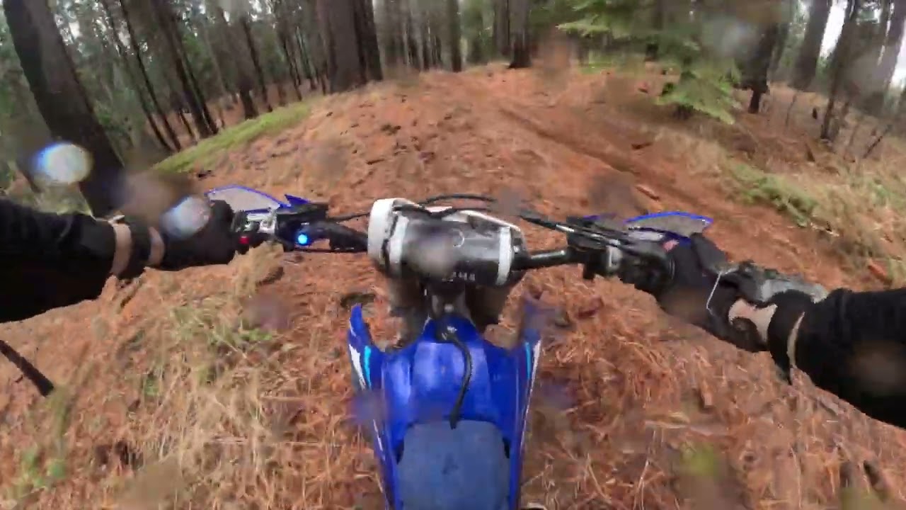 Xmas Pipi Hillclimbs and Downed Trees