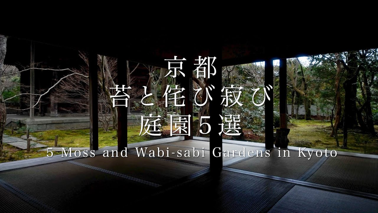 京都 苔と侘び寂びの庭園5選 | 5 Moss and Wabi-sabi Gardens in Kyoto
