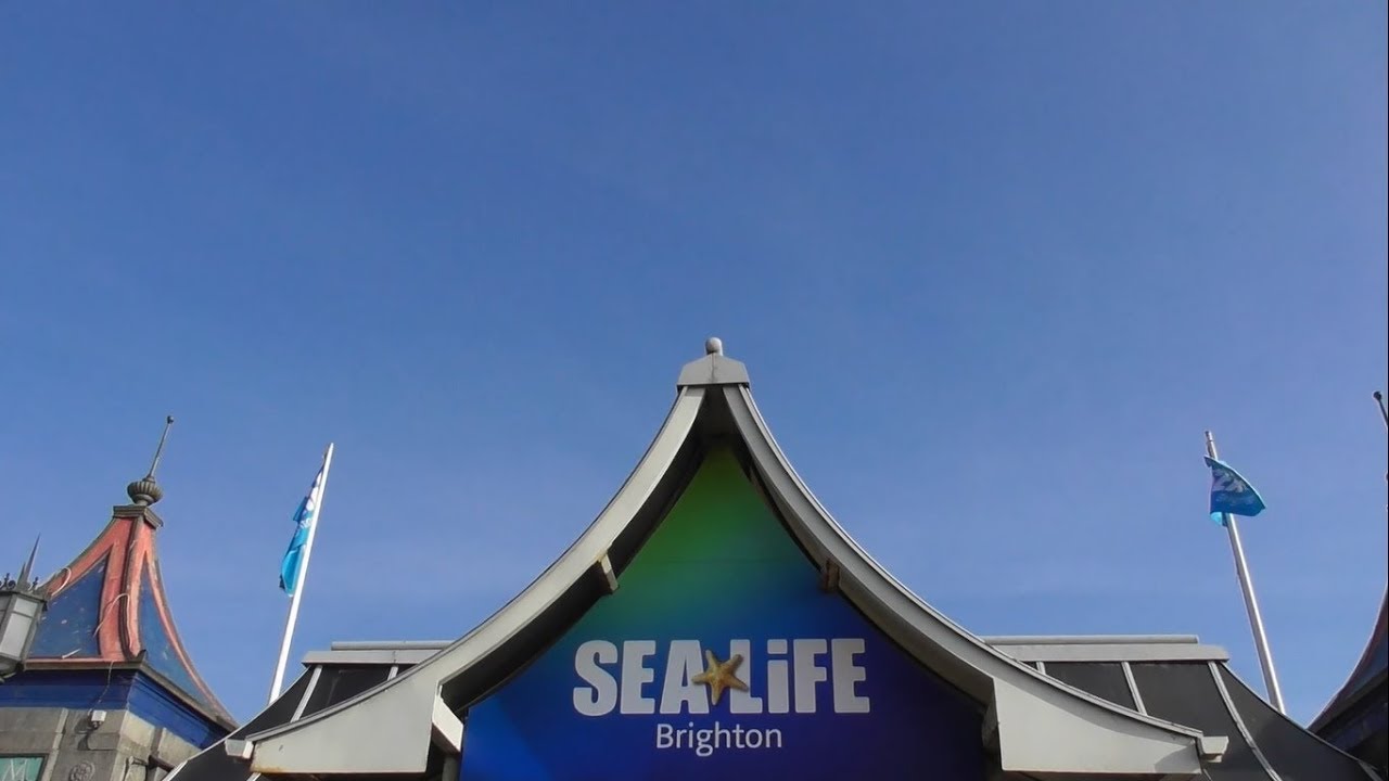Sealife Brighton, February 2019