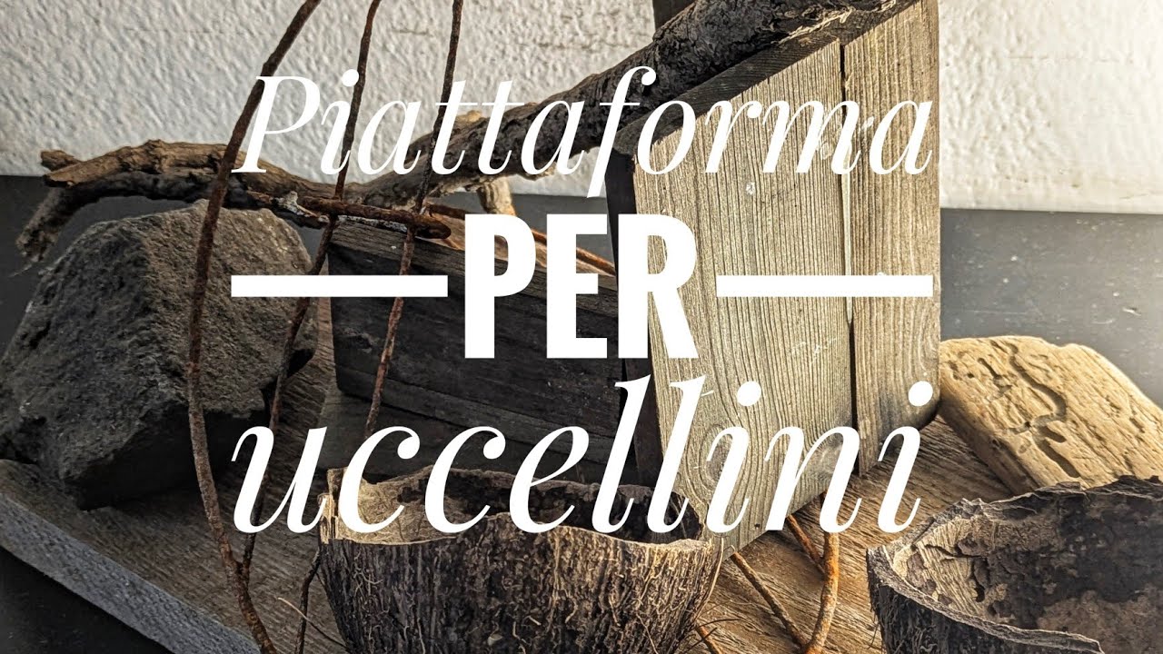 COSTRUISCO Una Mega Piattaforma MANGIATOIA Per Uccellini #birdfeeding #birdfeer