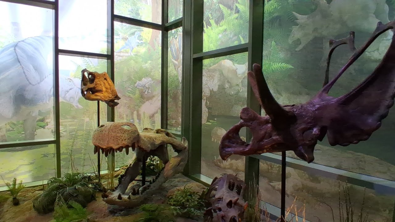 February 2026 trip to the Dinosaur Gallery at the Witte Museum 