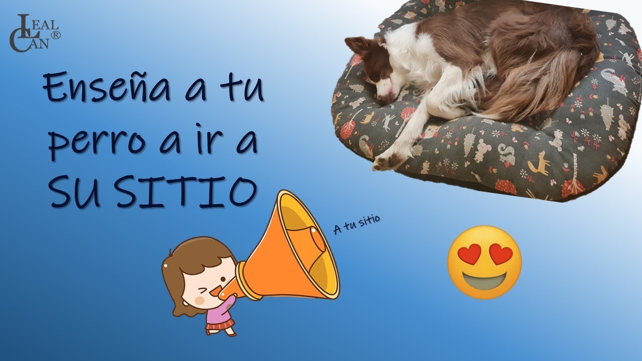 ENSEÑA a tu PERRO a ir a SU SITIO | LealCan Adiestramiento
