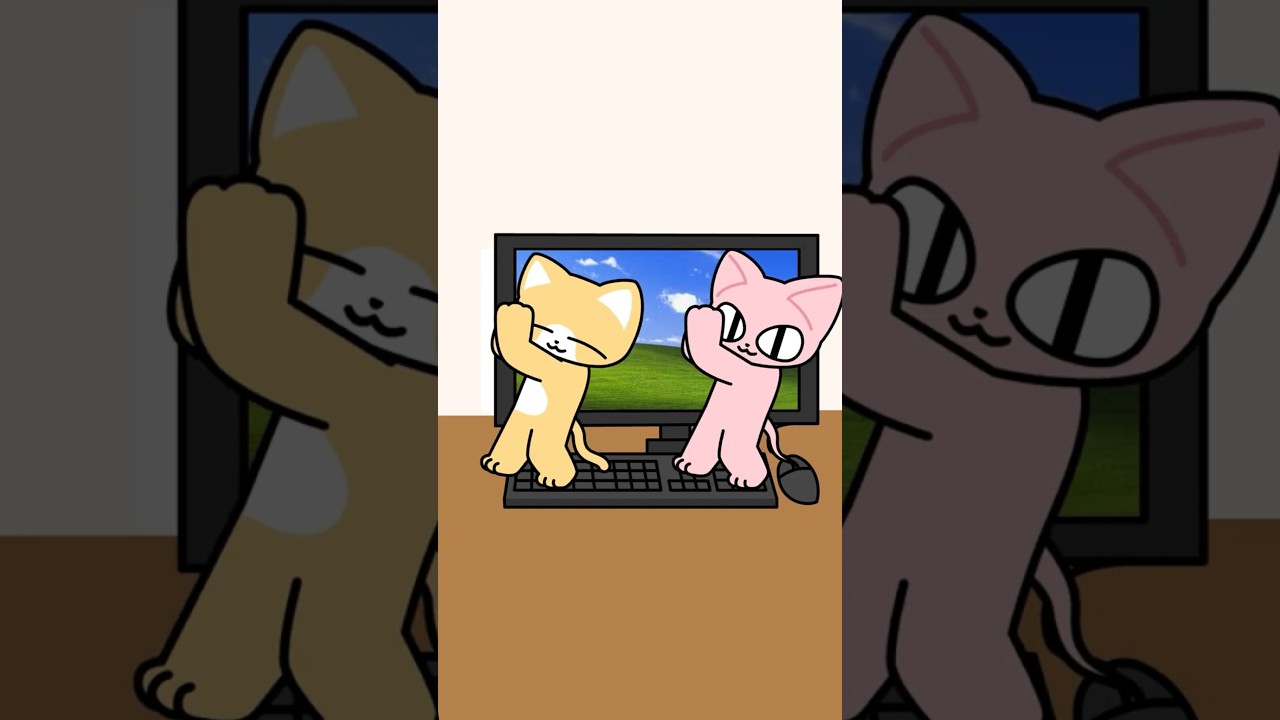 I thought it was a cat, but it is a cat