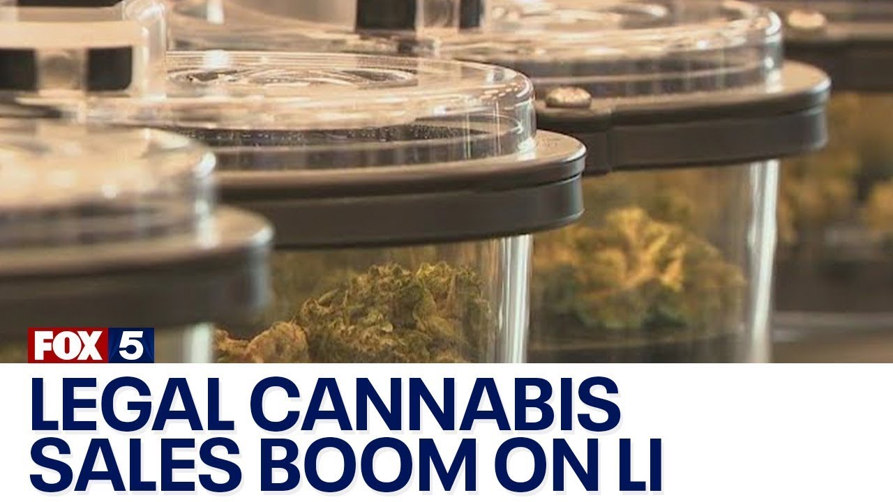 Babylon enjoys $1.2M boost from legal marijuana sales