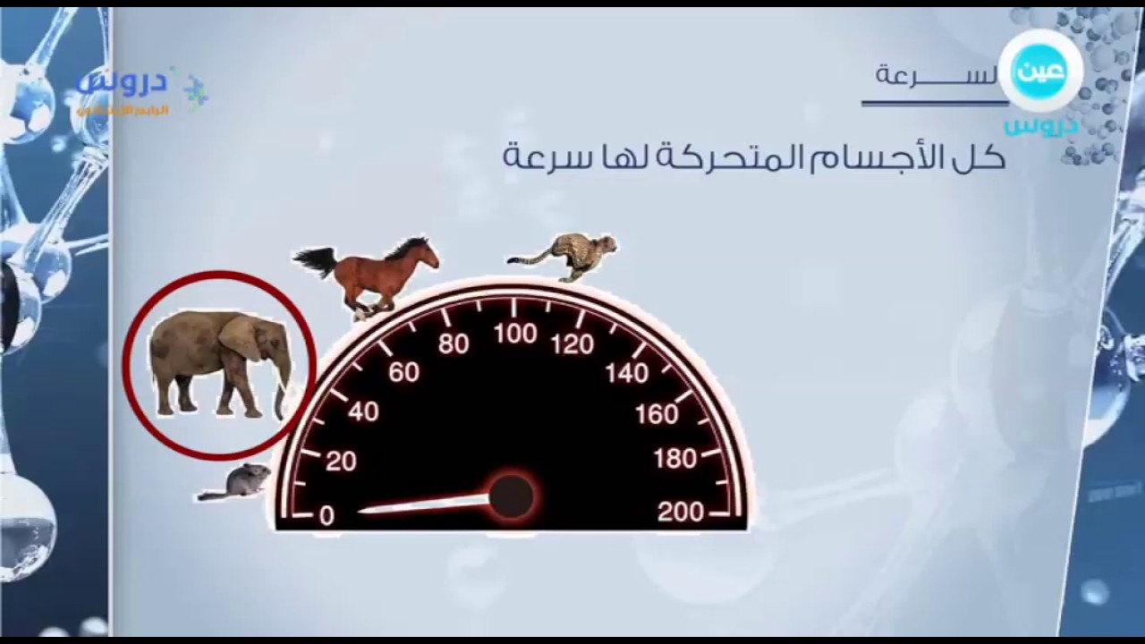 الرابع الابتدائي | الفصل الدراسي الثاني 1438 | علوم |  القوى والحركة(1)