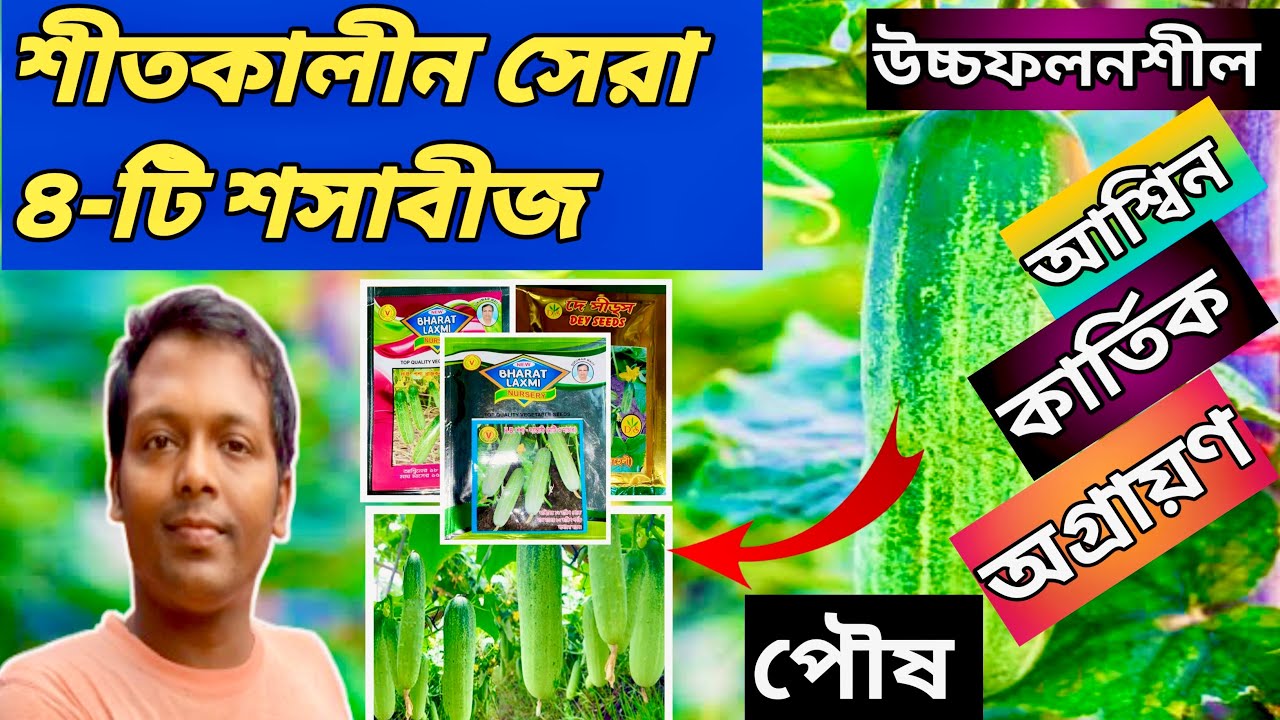 শীতকালে উচ্চফলন পেতে কি বীজ লাগাবেন? সঠিক বীজ নির্বাচন করবেন কিভাবে?#min2buy