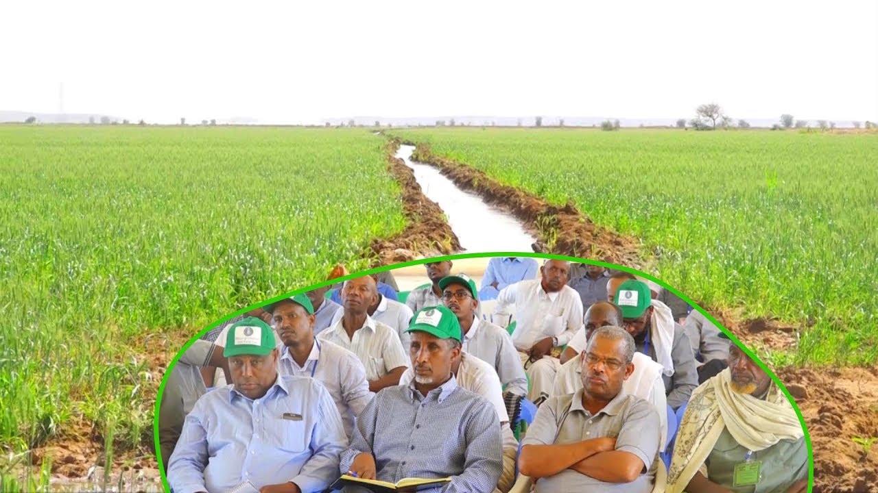 Jigjiga: Magaalada Goday Waxa Ka Qabsoomay Kulan Lagu Qiimaynayay Waxsoosarka Beeraha Ee G.Shabeele.