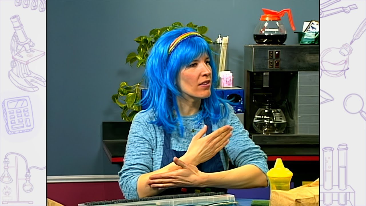 Dr Wonder's Workshop (ASL) | Season 1 | Episode 12 | You Are Precious | David O. Reynolds