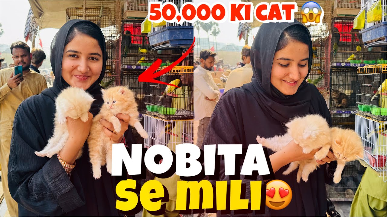Husband Ney Meri Demand Poori Kardi | Visited Animal Market Karachi | Fatima Farooq Yaseen