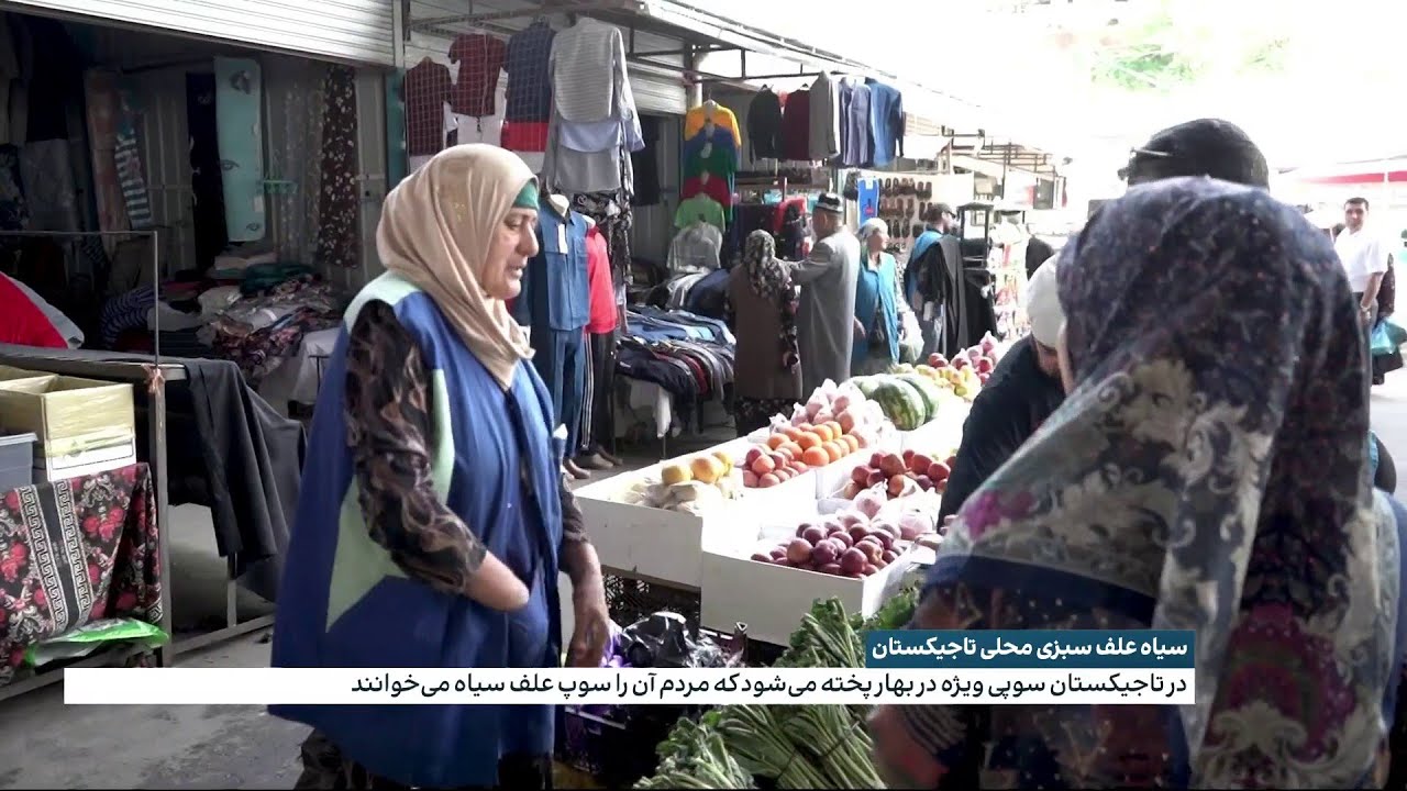 سیاه علف سبزی محلی تاجیکستان