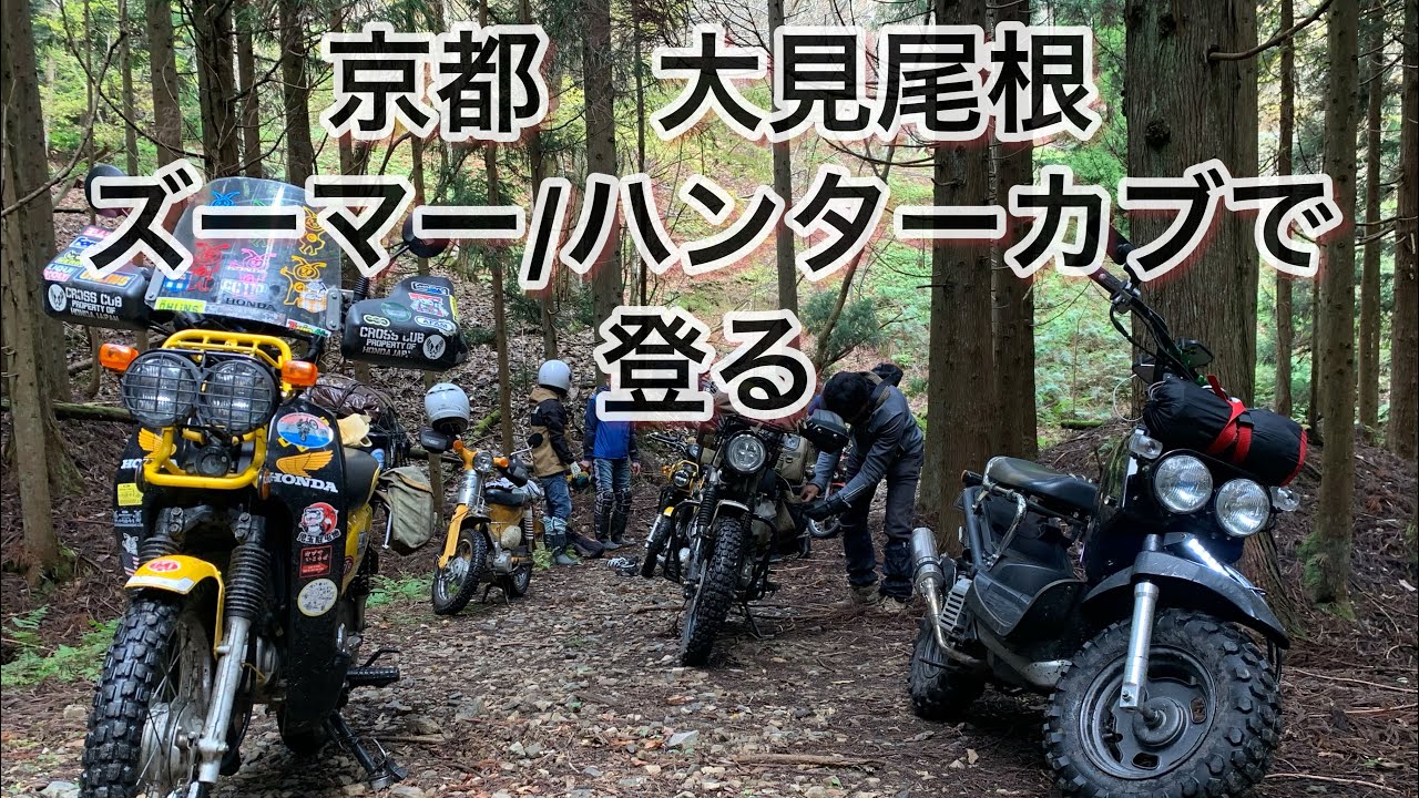 京都　大見尾根　ズーマー、ハンターカブ、リトルカブで登る