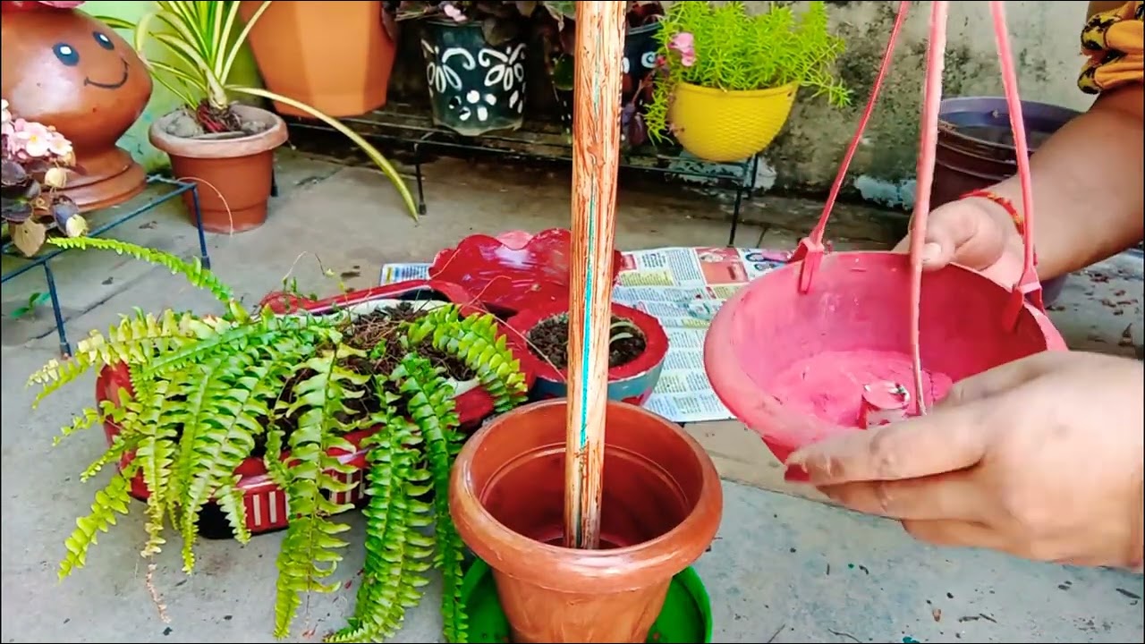 Aise kabad ka use  karke apne garden ko naya look de skte hai 🌻☘️