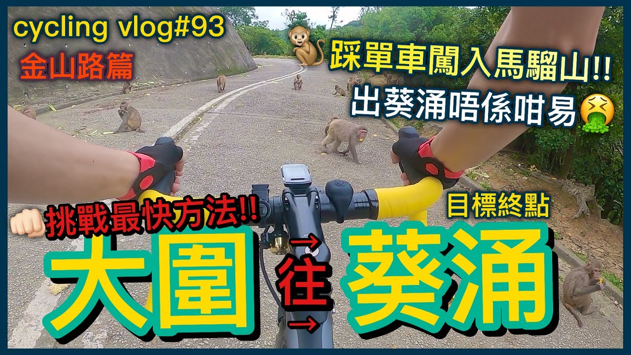 【cycling vlog】由大圍出荃灣葵涌最快方法？！親身挑戰闖入馬騮之地！！困難重重~踩出葵涌都真係幾辛苦~│香港公路車EP.93
