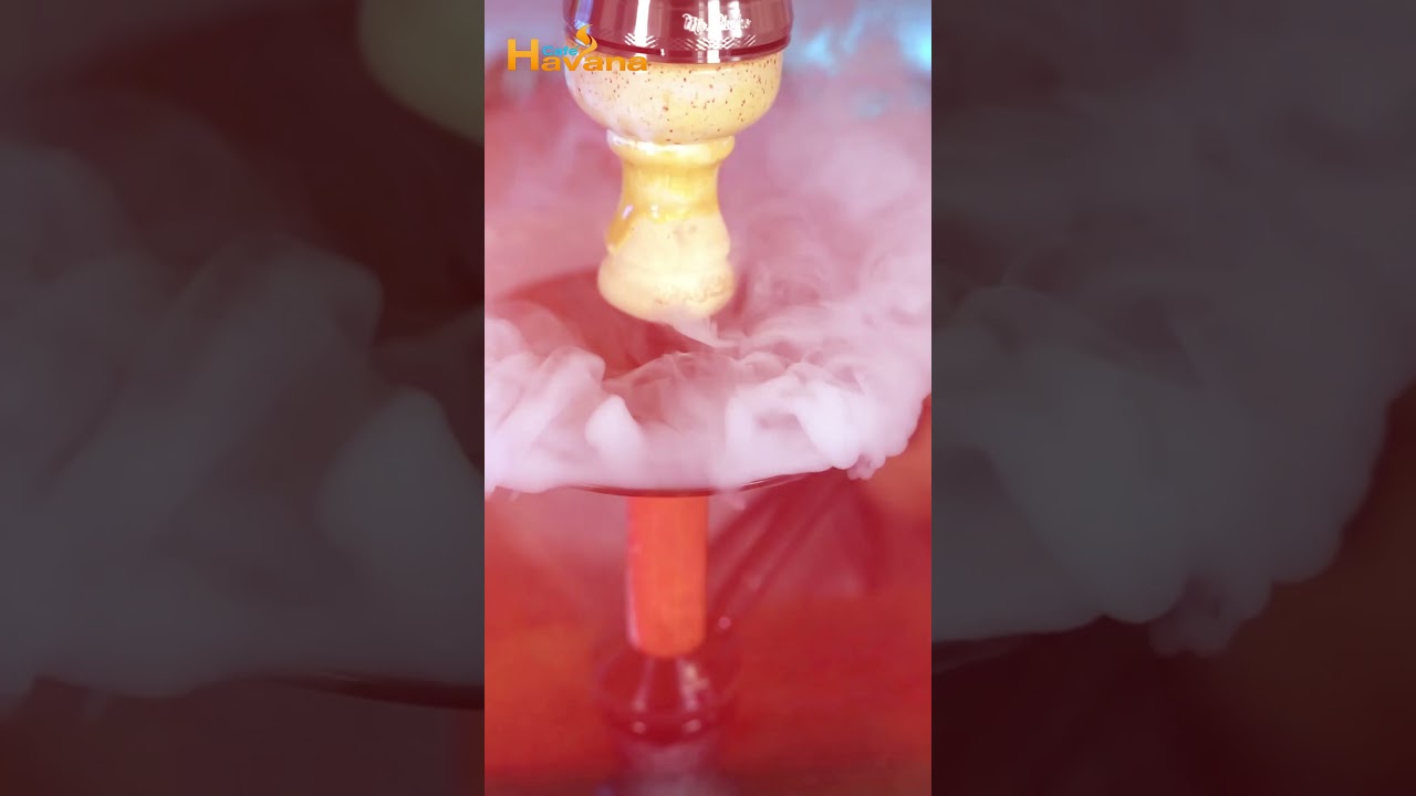 𝐃𝐢𝐬𝐜𝐨𝐯𝐞𝐫 𝐂𝐚𝐟𝐞 𝐇𝐚𝐯𝐚𝐧𝐚: 𝐓𝐡𝐞 𝐔𝐥𝐭𝐢𝐦𝐚𝐭𝐞 𝐒𝐡𝐢𝐬𝐡𝐚 𝐄𝐱𝐩𝐞𝐫𝐢𝐞𝐧𝐜𝐞 𝐢𝐧 𝐁𝐫𝐢𝐠𝐡𝐭𝐨𝐧!🔥  #shisha #cafehavana #restaurant