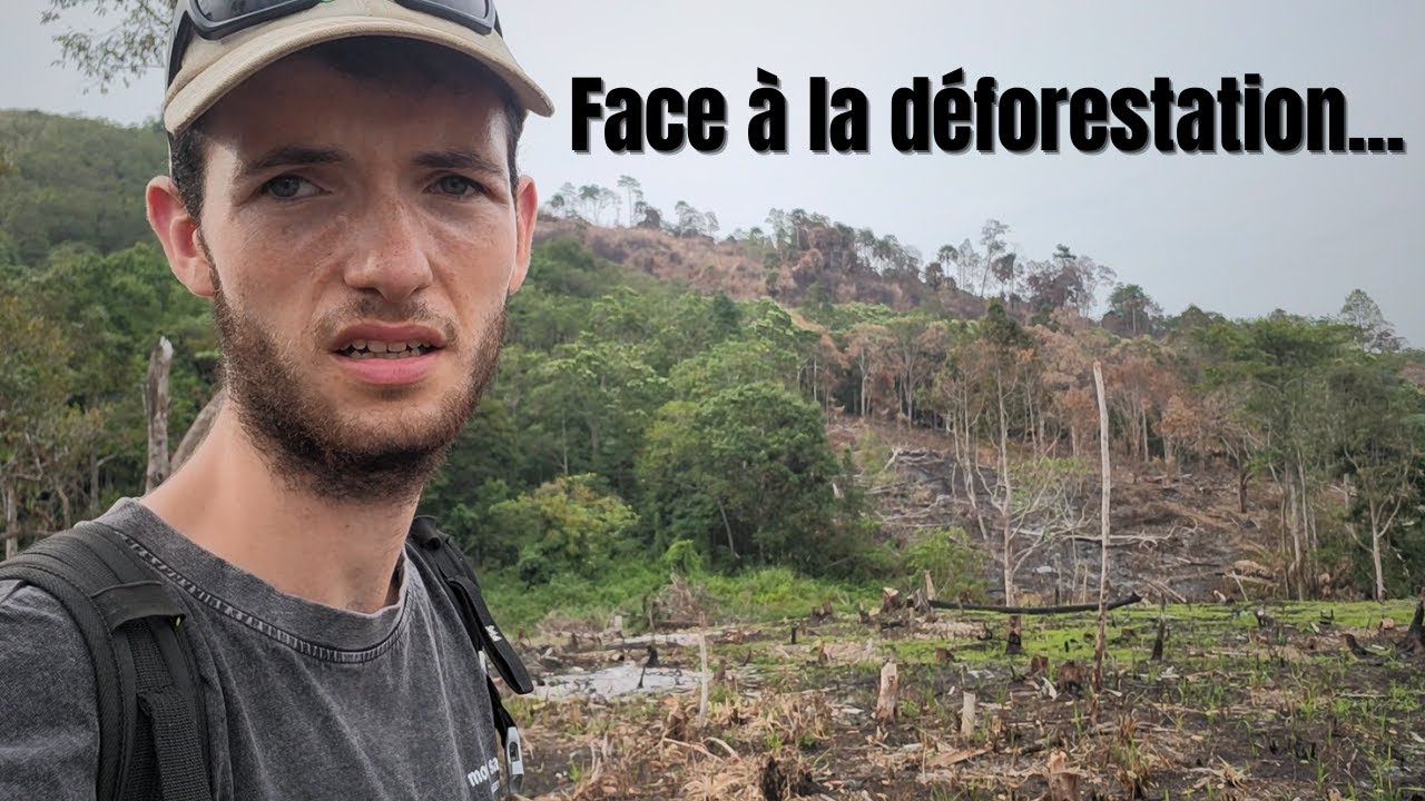 LE PROBLÈME MAJEUR DES CONFLITS ÉLÉPHANTS/HUMAINS...