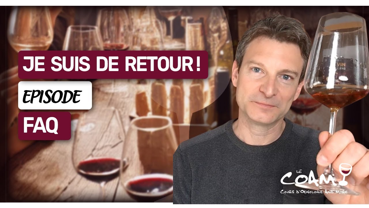 Je suis de retour sur YouTube (Épisode FAQ)