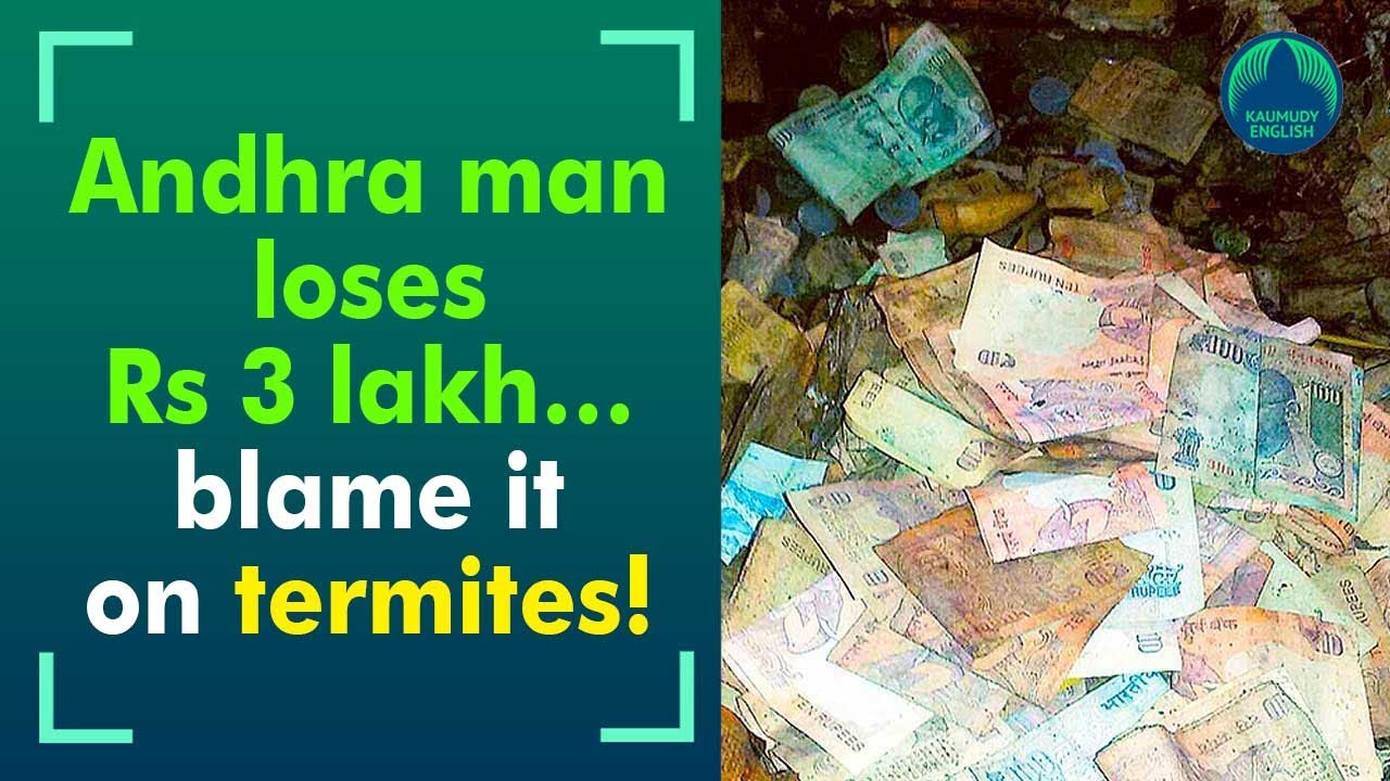 Termites eat away Andhra pig rearer&rsquo;s Rs 3 lakh
