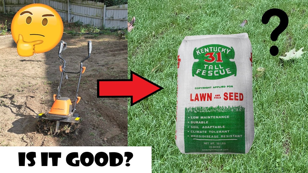Planting Kentucky 31 Tall Fescue: From Weeds to Green Lawn
